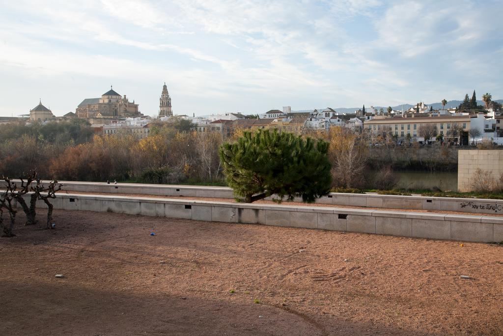 Apartment Amparo Cinco Cordoba